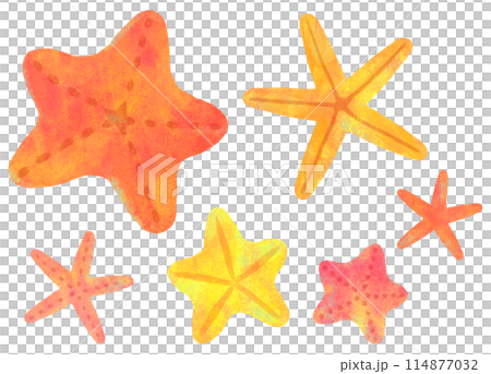 かわいいヒトデのイラストセット かわいいヒトデのイラストセット 114877032