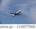 着陸する飛行機 114877066