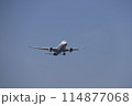 着陸する飛行機 114877068