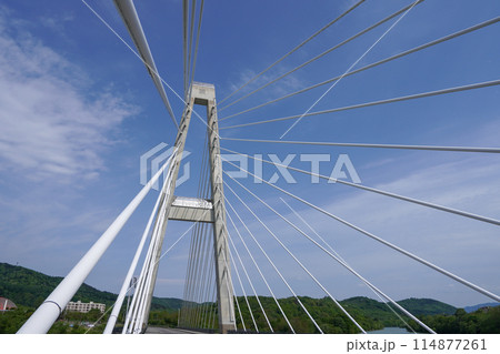 星の降る里大橋（2径間連続PC斜張橋） 114877261