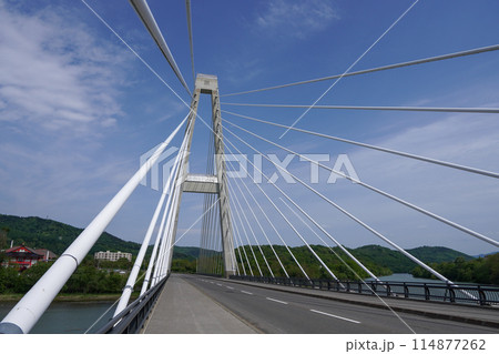 星の降る里大橋（2径間連続PC斜張橋） 114877262