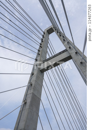 星の降る里大橋（2径間連続PC斜張橋） 114877263