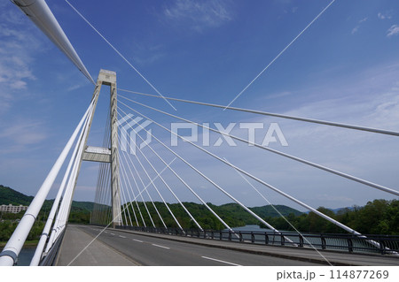 星の降る里大橋(2径間連続PC斜張橋) 星の降る里大橋(2径間連続PC斜張橋) 114877269
