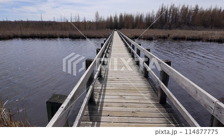 Mer Bleue National conservation area near Ottawa 114877775