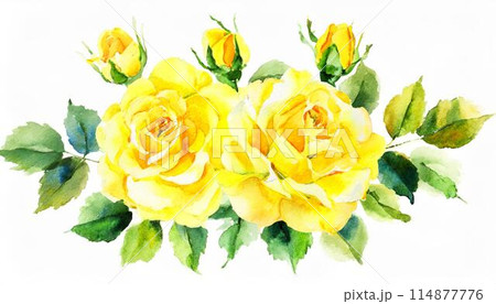 水彩風の黄色いバラの花のイラスト素材 [114877776] - PIXTA
