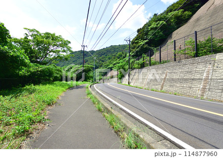福井県敦賀市中心部から色浜地区までの県道風景(2022夏) 114877960