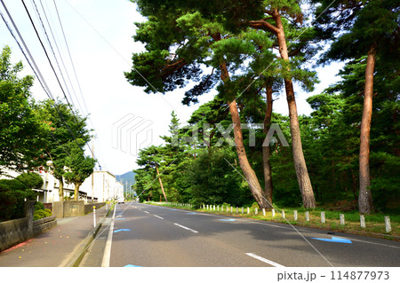 福井県敦賀市中心部から色浜地区までの県道風景(2022夏) 114877973