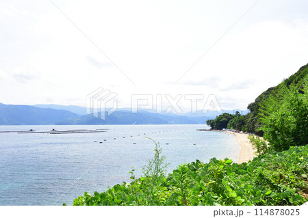 福井県敦賀市中心部から色浜地区までの県道風景(2022夏) 福井県敦賀市中心部から色浜地区までの県道風景(2022夏) 114878025