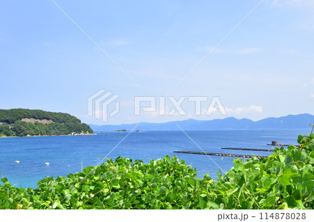 福井県敦賀市中心部から色浜地区までの県道風景(2022夏) 114878028