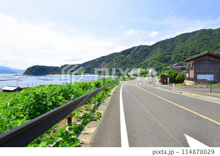 福井県敦賀市中心部から色浜地区までの県道風景(2022夏) 114878029