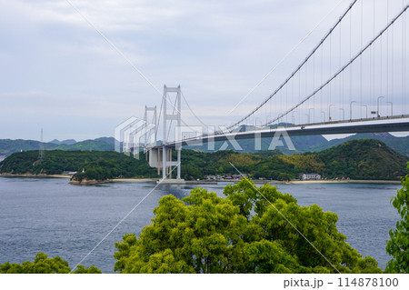 糸山公園から見る来島海峡大橋 114878100