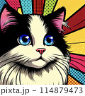 アメリカン猫 114879473