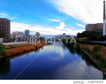 新代継橋より望む街並み(熊本県熊本市) 114879523