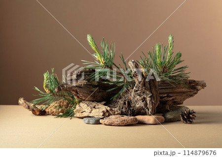 Abstract north nature scene with a composition of pine branches, stones, and dry snags. 114879676