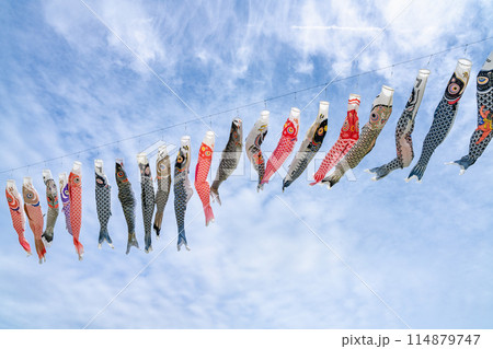 御前崎市のあらさわふる里公園の青空を泳ぐ鯉のぼり(静岡県) 114879747