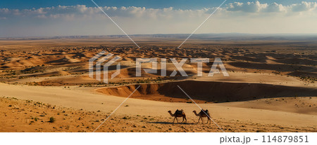 Panorama of dramatic sunset in the desert. Sand dunes against a beautiful sky. Generated AI 114879851