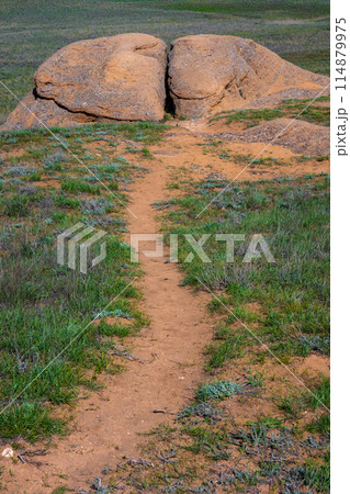 Dirt trail leading to large split boulder in green meadow 114879975