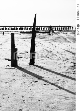 Monochrome landscape of old wooden pier remains on a beach Monochrome landscape of old wooden pier remains on a beach 114880034