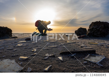 Volunteer cleaning a beach at sunset to preserve environment Volunteer cleaning a beach at sunset to preserve environment 114880045