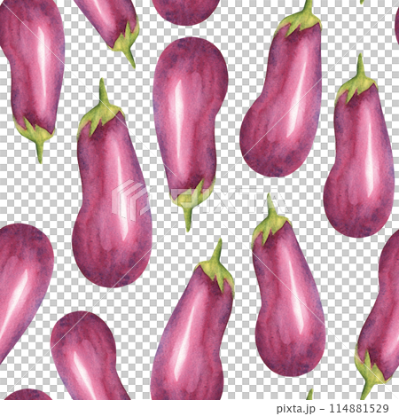 Eggplants watercolor seamless pattern on a white background. Can be used for kitchen textile prints, product packaging design. 114881529