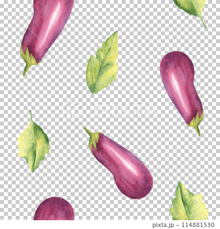 Eggplants with leaves watercolor seamless pattern on a white background. Can be used for kitchen textile prints, product packaging design. 114881530