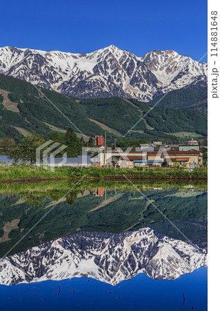 水田に写り込む白馬三山 114881648
