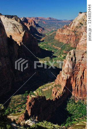 絶景のザイオン国立公園 絶景のザイオン国立公園 114883444