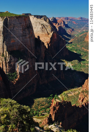 絶景のザイオン国立公園 絶景のザイオン国立公園 114883445