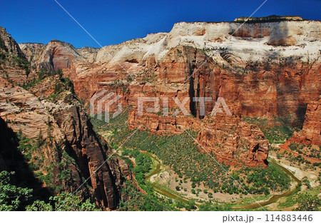 絶景のザイオン国立公園 114883446