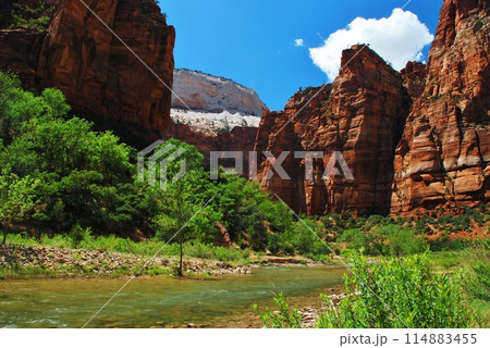 絶景のザイオン国立公園 114883455