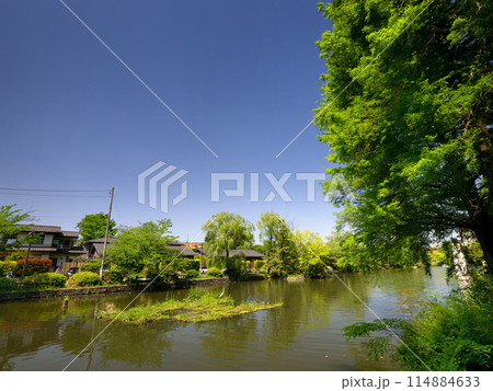 石神井公園 石神井池 東京都 石神井公園 石神井池 東京都 114884633