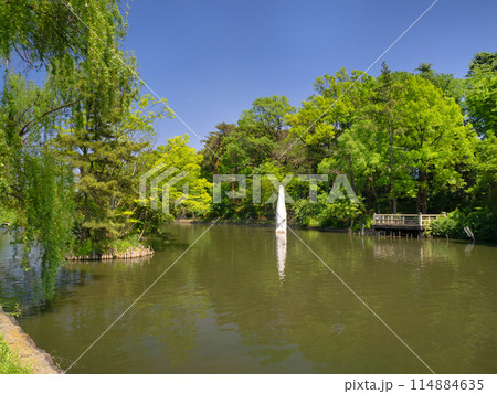 石神井公園 石神井池 東京都 石神井公園 石神井池 東京都 114884635