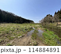 晴天の下、鳥の声などが聞こえて、水が流れる自然の景色です。 114884891