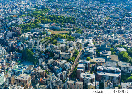 （神奈川県）横浜ランドマークタワーから眺める横浜の街並み 114884937