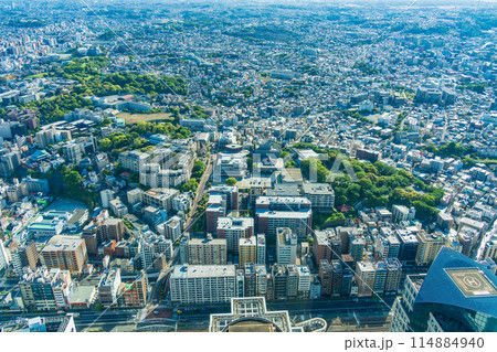 （神奈川県）横浜ランドマークタワーから眺める横浜の街並み 114884940