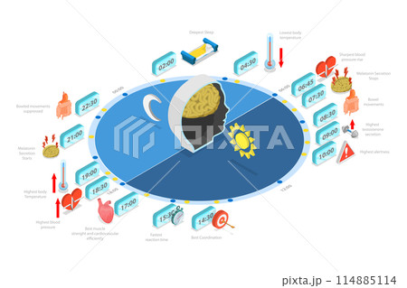 3D Isometric Flat  Conceptual Illustration of Circadiam Rhythm, Natural Cycle for Healthy Sleep and Routine 114885114