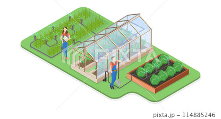 3D Isometric Flat Conceptual Illustration of Drip Irrigation System, Automatic Watering 3D Isometric Flat Conceptual Illustration of Drip Irrigation System, Automatic Watering 114885246
