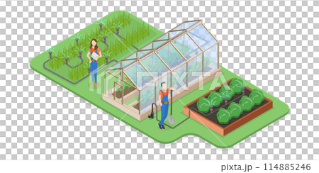 3D Isometric Flat Conceptual Illustration of Drip Irrigation System, Automatic Watering 3D Isometric Flat Conceptual Illustration of Drip Irrigation System, Automatic Watering 114885246