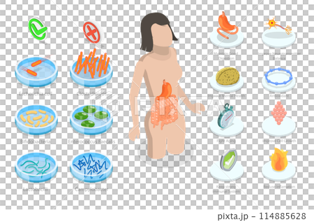3D Isometric Flat  Conceptual Illustration of Medical Bacteria, Healthy Eating for Gut 114885628