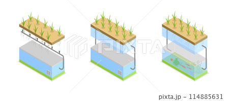 3D Isometric Flat  Conceptual Illustration of Growing Systems, Greenhouse Agriculture Methods 114885631