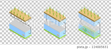 3D Isometric Flat  Conceptual Illustration of Growing Systems, Greenhouse Agriculture Methods 114885631