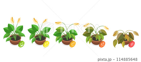 3D Isometric Flat Conceptual Illustration of Dying Plant, Phases a Flower Withering 3D Isometric Flat Conceptual Illustration of Dying Plant, Phases a Flower Withering 114885648