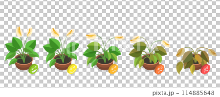 3D Isometric Flat Conceptual Illustration of Dying Plant, Phases a Flower Withering 3D Isometric Flat Conceptual Illustration of Dying Plant, Phases a Flower Withering 114885648