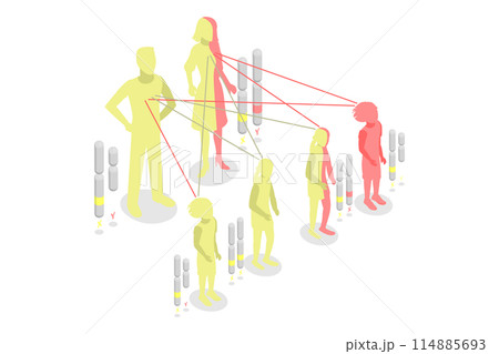 3D Isometric Flat  Conceptual Illustration of Autosomal Recessive Inheritance, Dominant and Recessive Genes 114885693