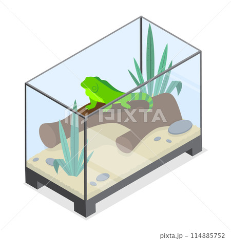 3D Isometric Flat  Illustration of Exotic Pets, Reptiles and Amphibians Care 114885752