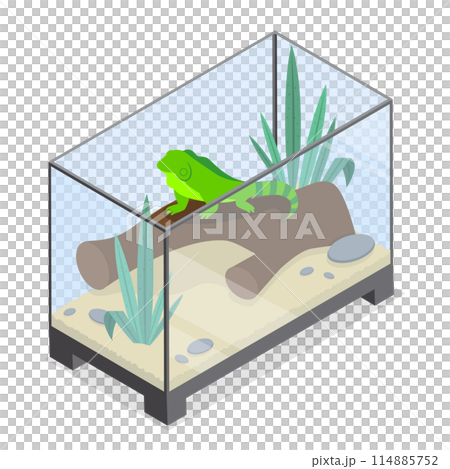 3D Isometric Flat  Illustration of Exotic Pets, Reptiles and Amphibians Care 114885752