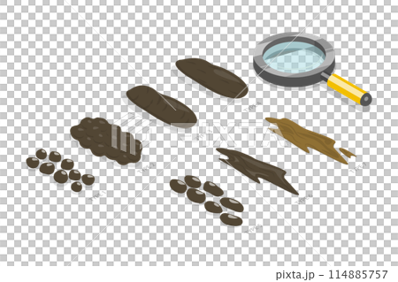 3D Isometric Flat Illustration of Bristol Stool Chart, Faeces Type Images and Description 3D Isometric Flat Illustration of Bristol Stool Chart, Faeces Type Images and Description 114885757