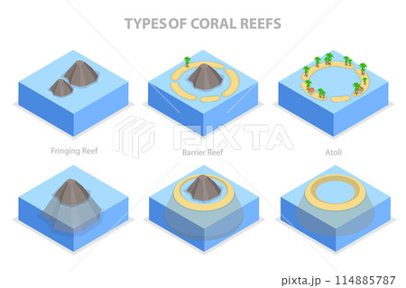 3D Isometric Flat  Illustration of Types Of Coral Reefs, Structure of Islands 114885787