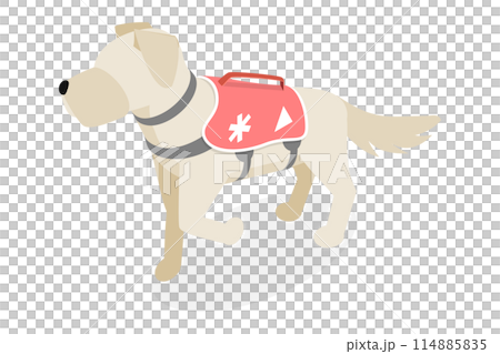 3D Isometric Flat  Illustration of Avalanche Rescue Dog, Domestic Pet Helping People 114885835