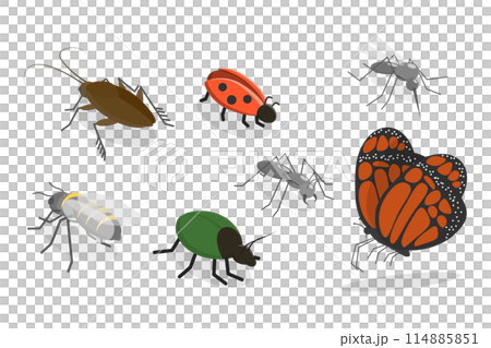 3D Isometric Flat  Set of Insects, Bug, Mosquito, Fly, Cockroach, Butterfly 114885851